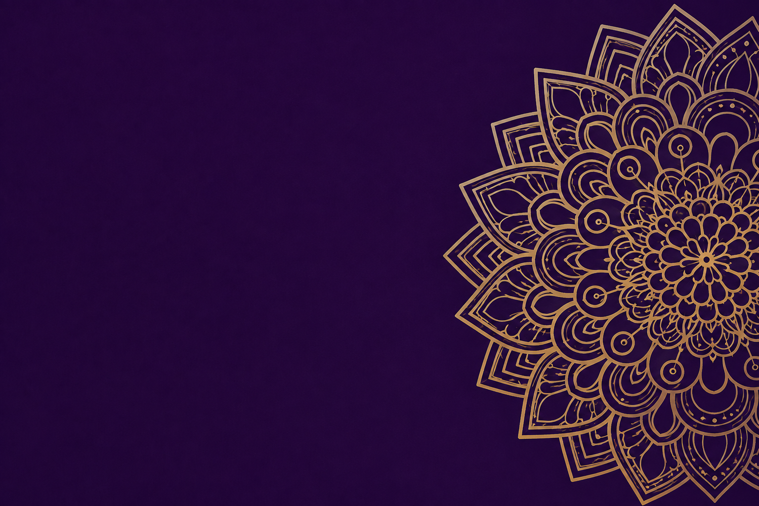 Zenin Advantage visual Indian design banner